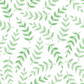 Bet365环球版-Bet365官方最新APP登录IOS/安卓/手机版/下载链接